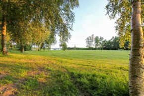 Schilfkante - Am Ufer in Wieck Am Darß